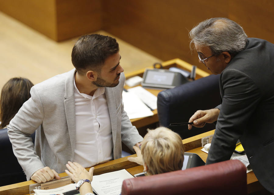 Fotos del pleno de les Corts