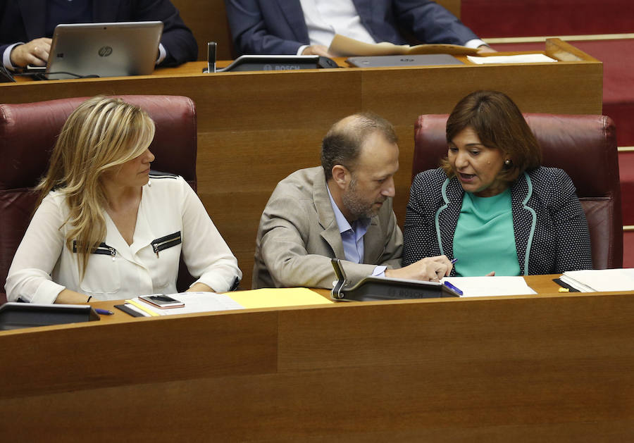 Fotos del pleno de les Corts