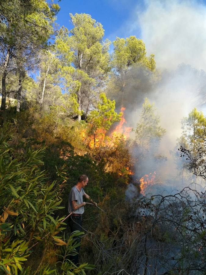 Fotos del incendio de Alcalalí