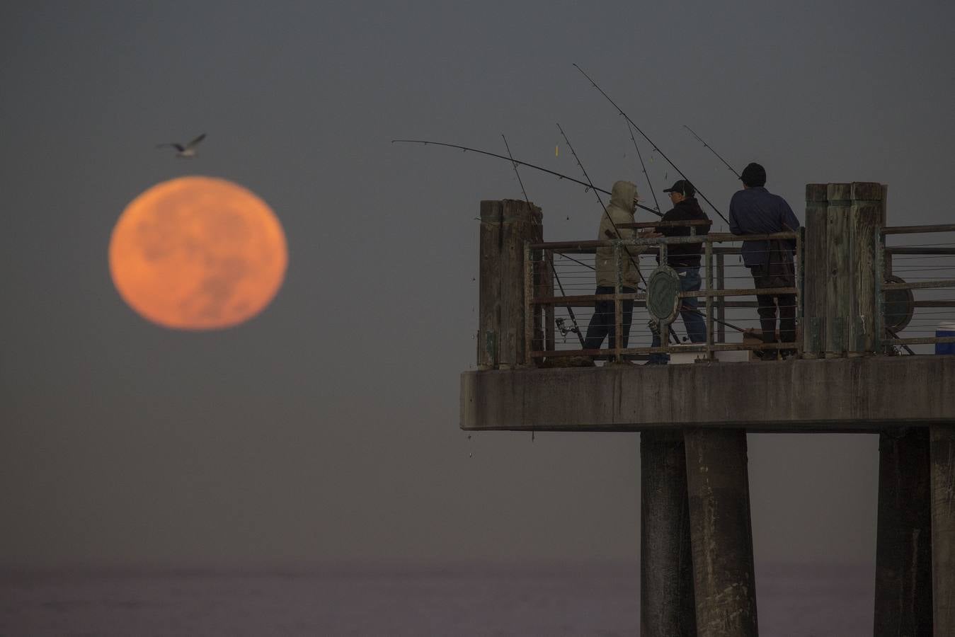 Así se ve la superluna 2016