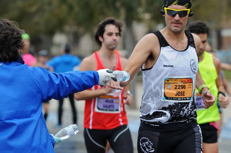 Fotos del Maratón de Valencia 2016 (IV)