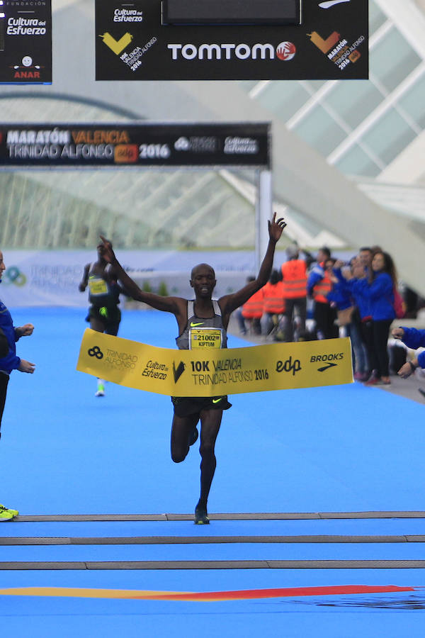 Fotos del Maratón de Valencia 2016 (V)