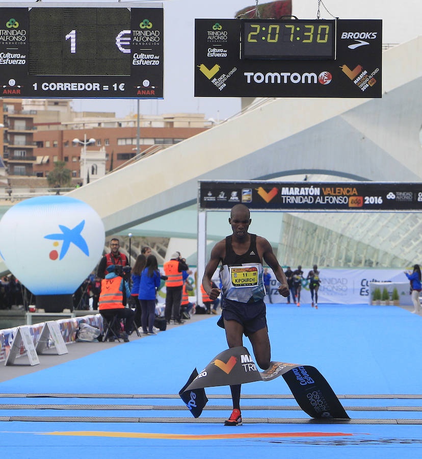 Fotos del Maratón de Valencia 2016 (V)