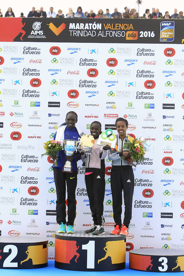 Fotos del Maratón de Valencia 2016 (V)