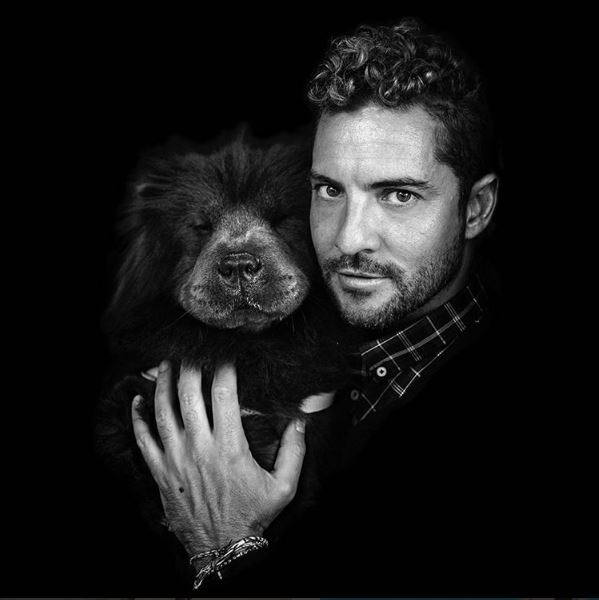 Fotos de David Bisbal