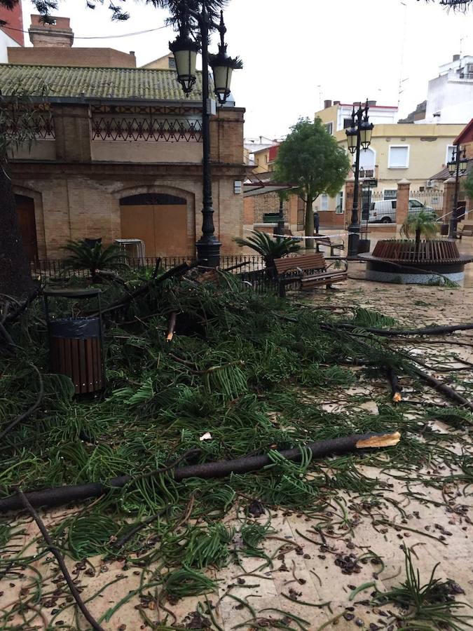 Fotos del temporal en la Ribera y la Marina