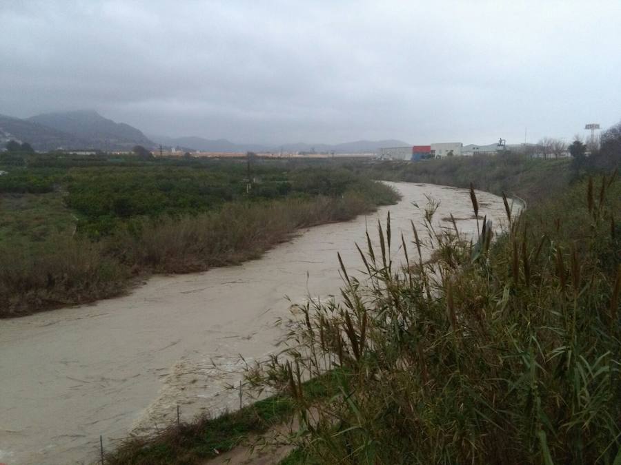 Río Serpis a su paso por Almoines.