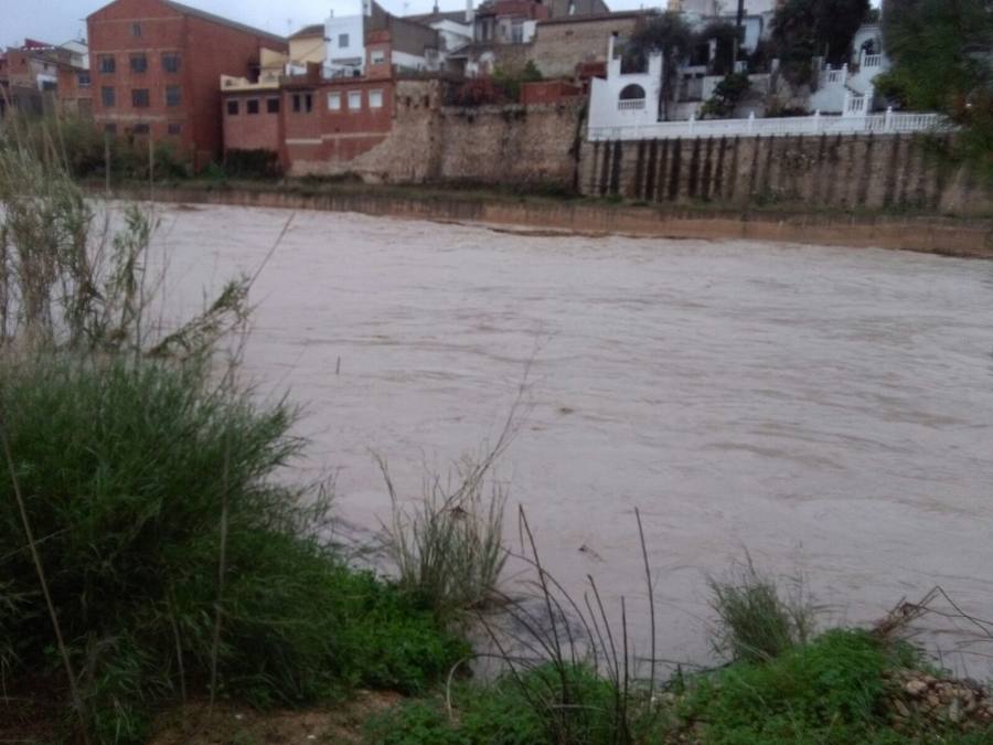 Río Serpis a su paso por Almoines.