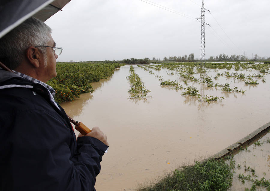 Fotos de los campos inundados en Alberic