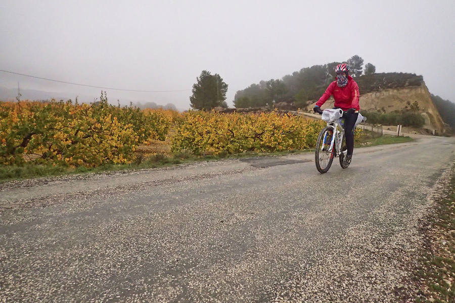 Camino de ida y vuelta