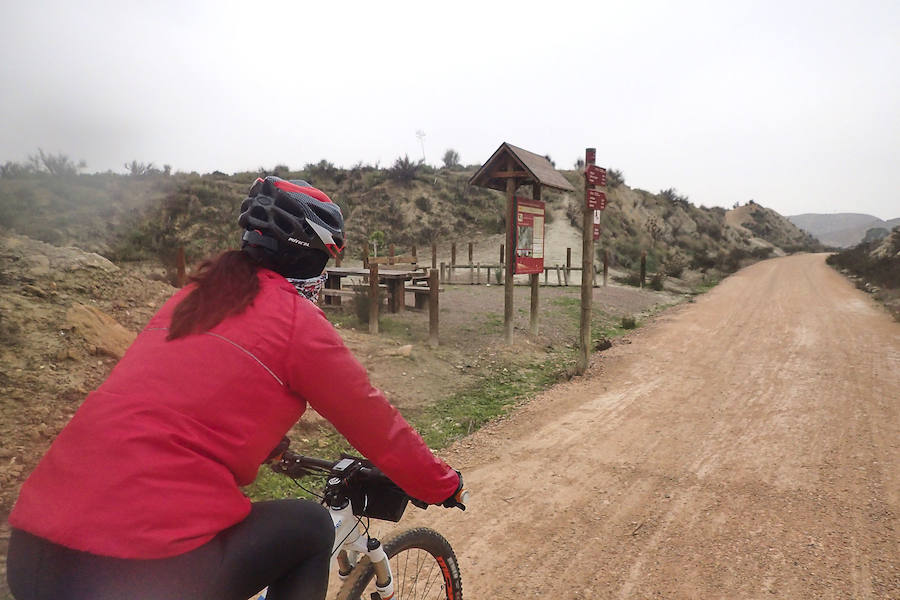 Camino de ida y vuelta