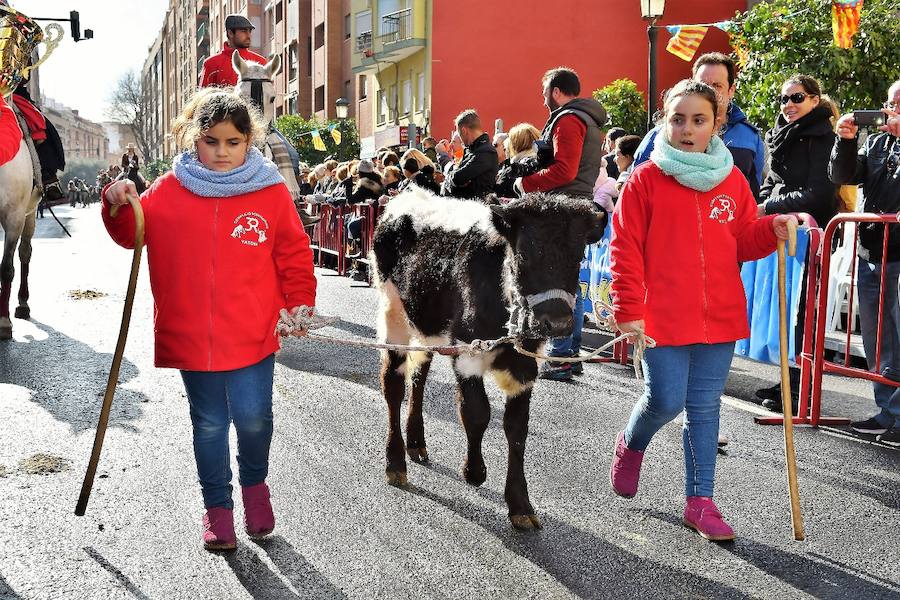 Fotos de la bendición de animales en Valencia durante la procesión de San Antonio Abad