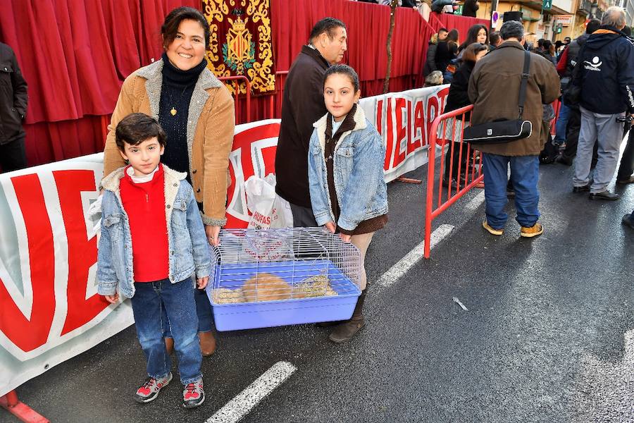 Fotos de la bendición de animales en Valencia durante la procesión de San Antonio Abad