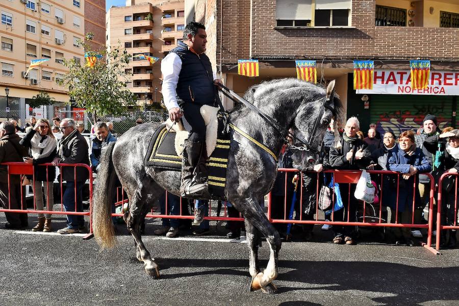 Fotos de la bendición de animales en Valencia durante la procesión de San Antonio Abad