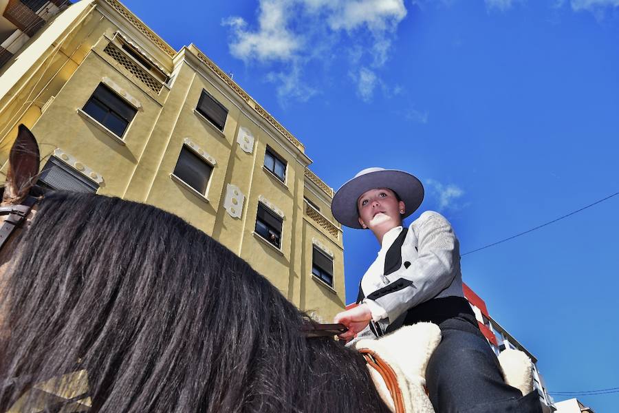 Fotos de la bendición de animales en Valencia durante la procesión de San Antonio Abad