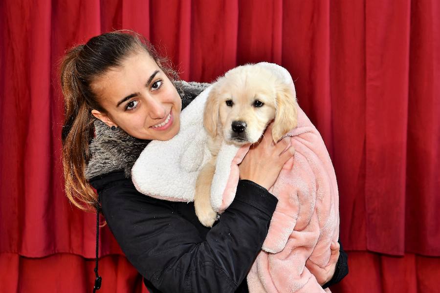 Fotos de la bendición de animales en Valencia durante la procesión de San Antonio Abad