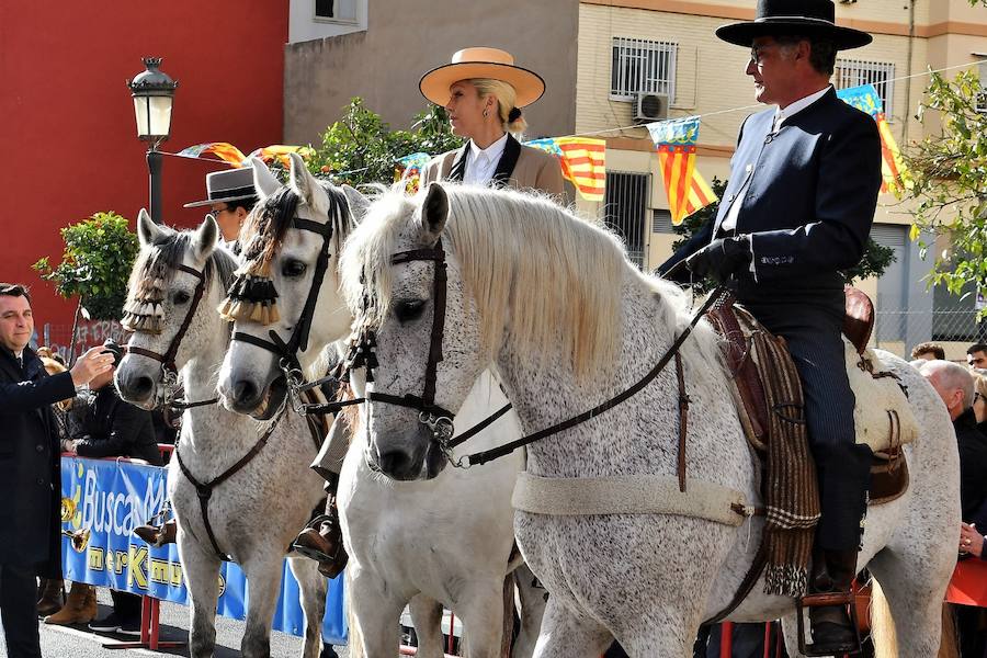 Fotos de la bendición de animales en Valencia durante la procesión de San Antonio Abad