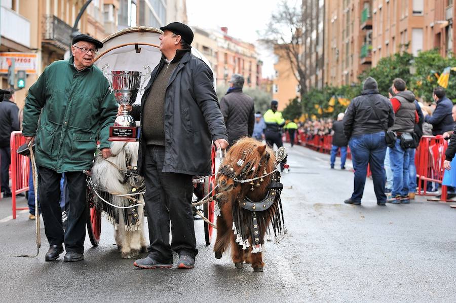 Fotos de la bendición de animales en Valencia durante la procesión de San Antonio Abad