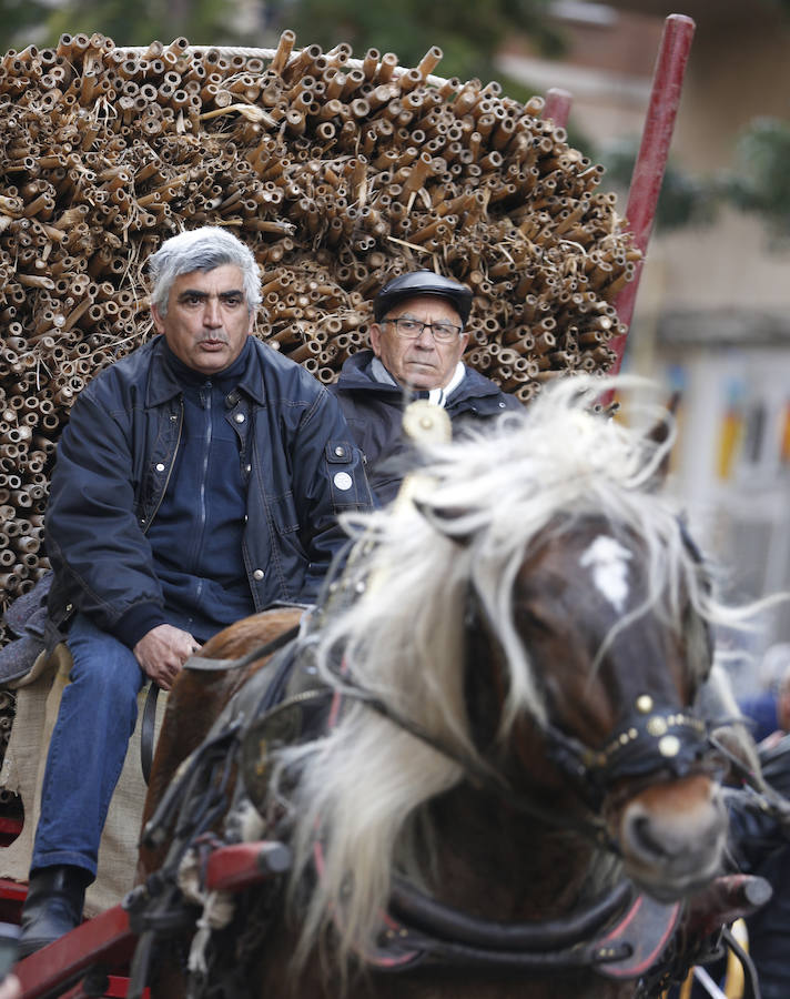 Fotos de la bendición de animales en Valencia durante la procesión de San Antonio Abad