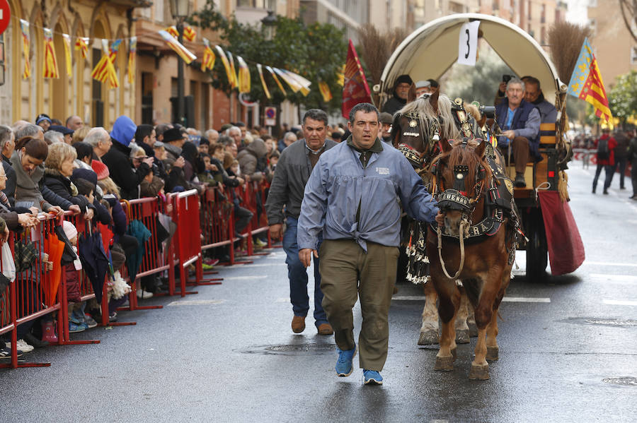 Fotos de la bendición de animales en Valencia durante la procesión de San Antonio Abad