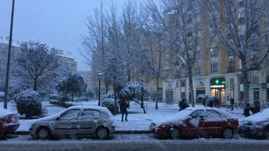 Nieva en Dénia y Xàbia al nivel del mar