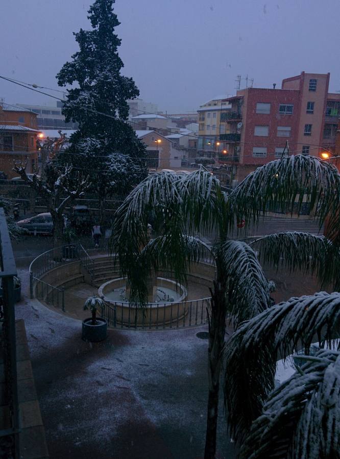 Fotos de la nevada en Ondara