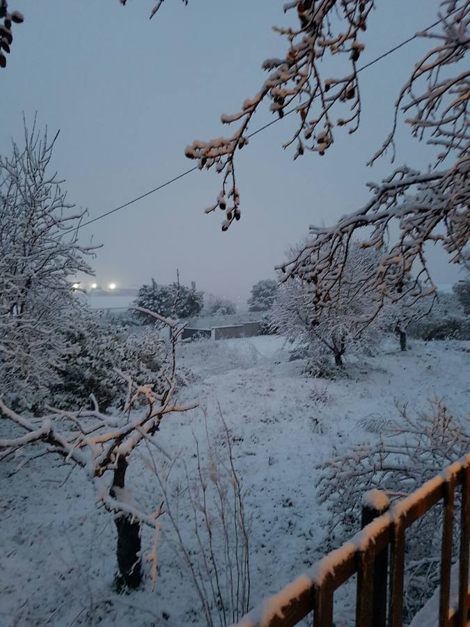 Fotos de la nevada en Orba