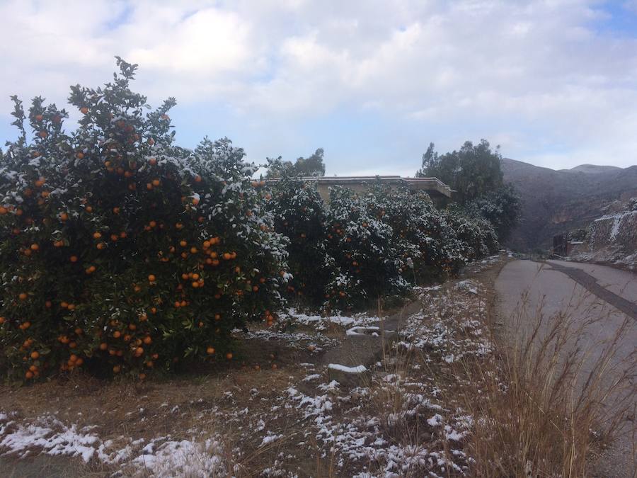 Fotos de la nevada en La Safor