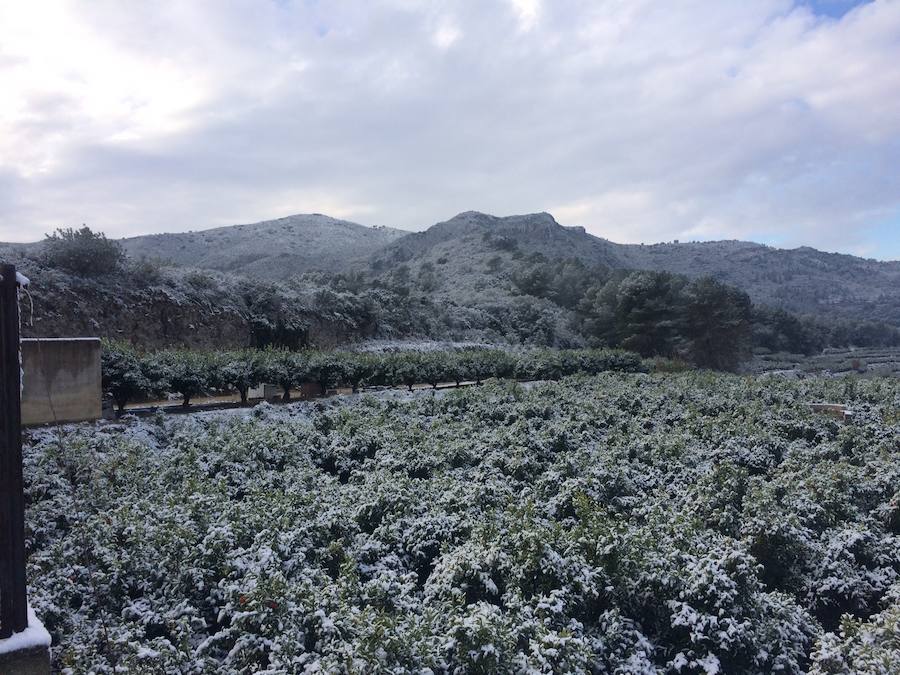 Fotos de la nevada en La Safor