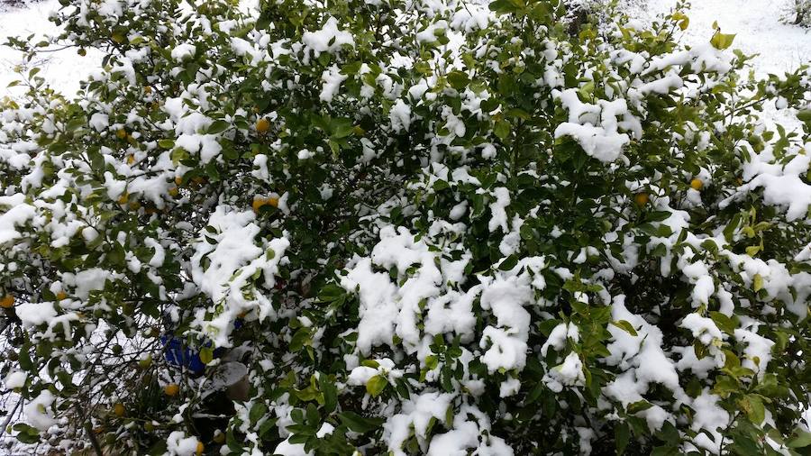 Fotos de la nevada en Vall de Laguar