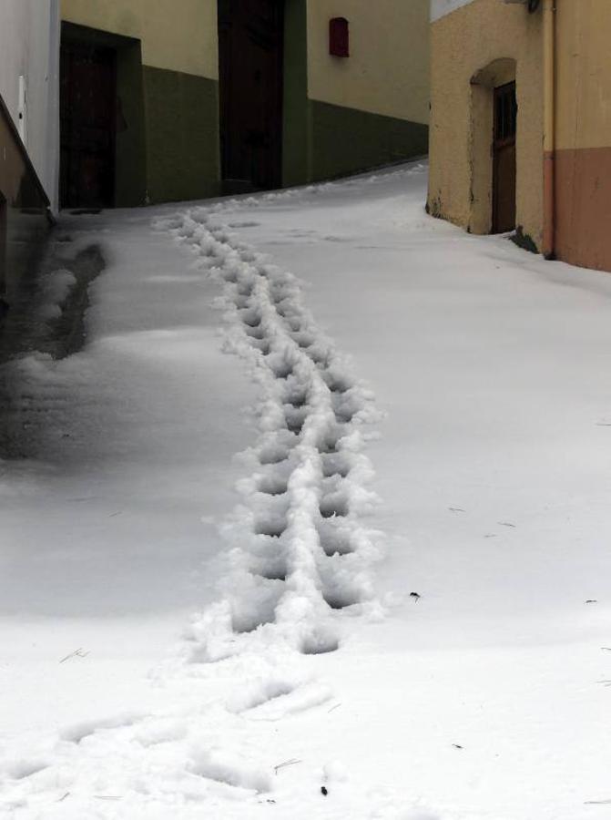 Carreteras con nieve en la Comunitat por el temporal de frío