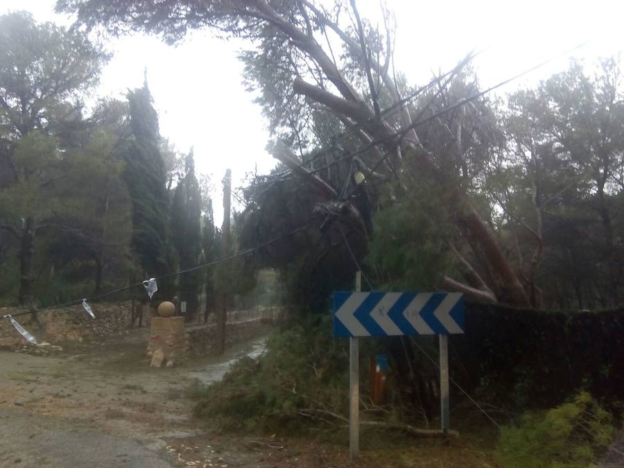 El temporal en el mar destroza paseos y calles en varios municipios de la Comunitat