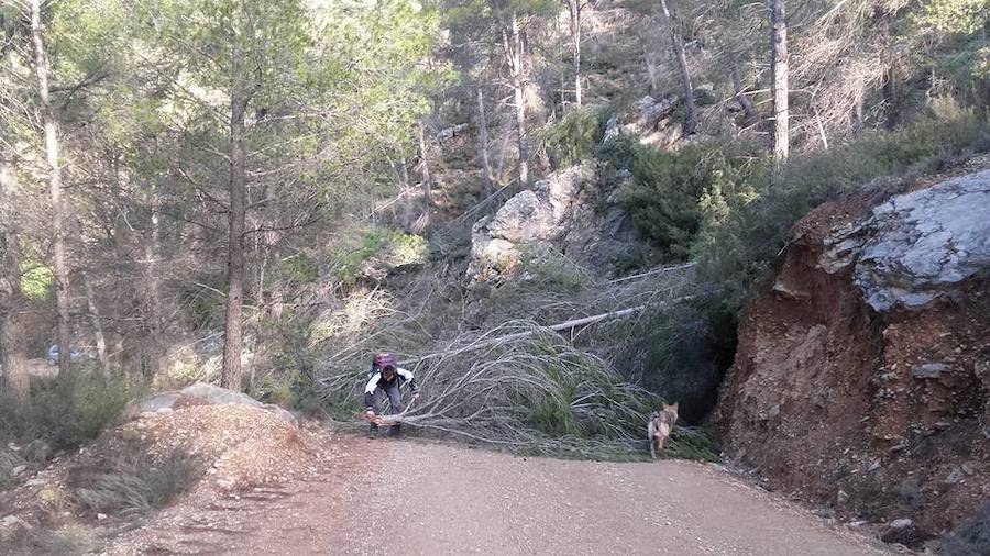 Situación límite en la reserva de Valdeserrillas