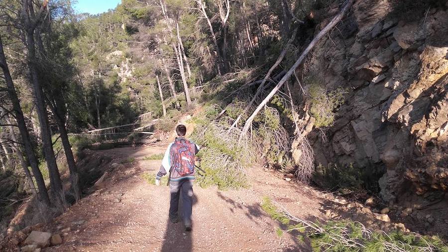 Situación límite en la reserva de Valdeserrillas