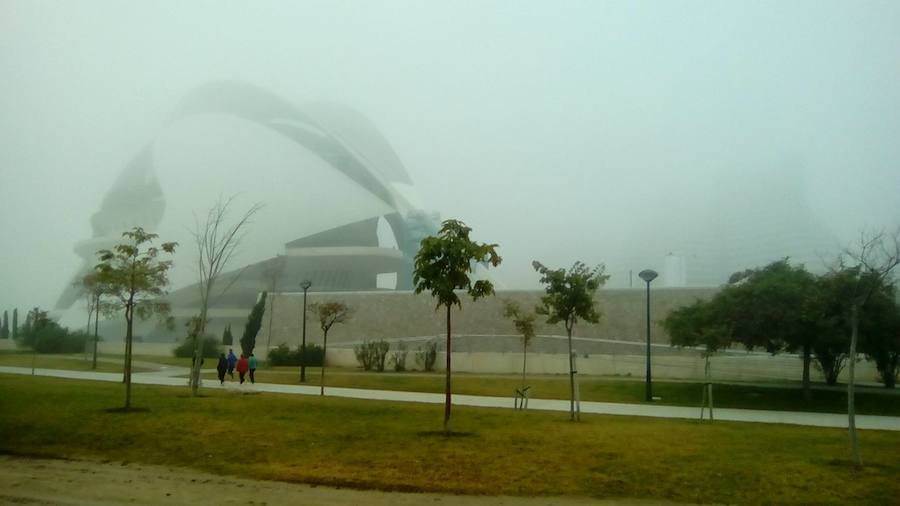 La niebla, sobre el Palau de Les Arts.