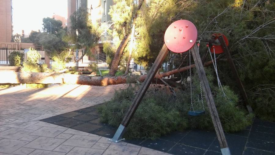 Árbol de grandes dimensiones caído sobre un parque infantil en Terramelar (Paterna).