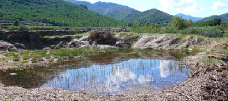 Bassa menuda del Sastre, Montitxelvo.