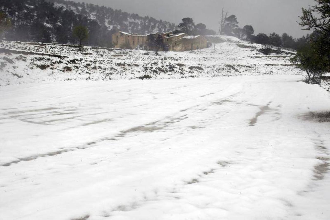 Fotos del temporal de lluvia y viento en Alicante de marzo de 2017