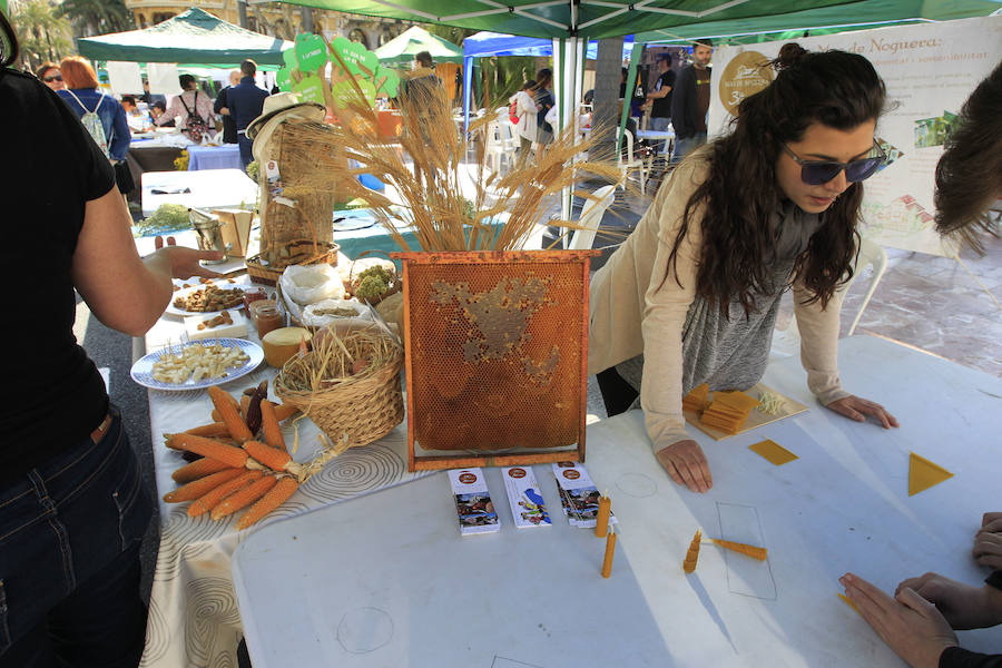 XXX Trobada d&#039;Escoles en Valencià