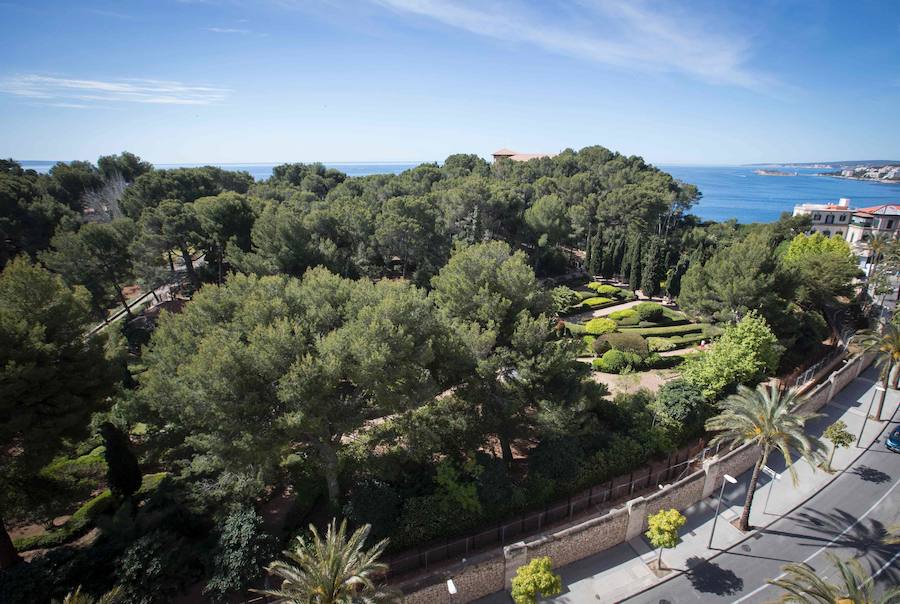 Fotos de los jardines del Palacio de Marivent