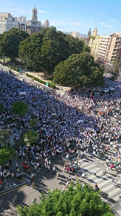 Fotos manifestación por la libertad educativa (I)