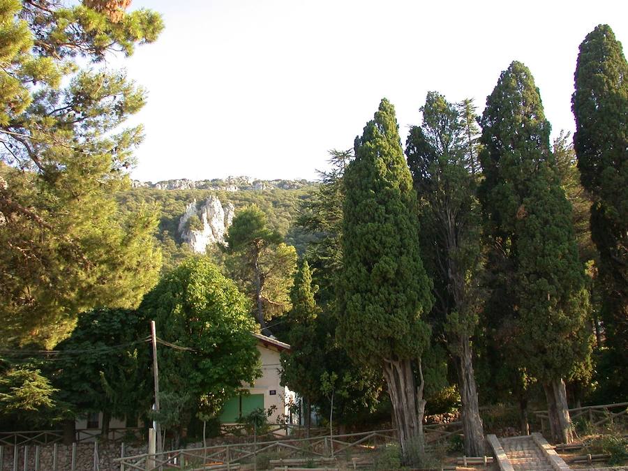 Parque Natural de la Font Roja. 