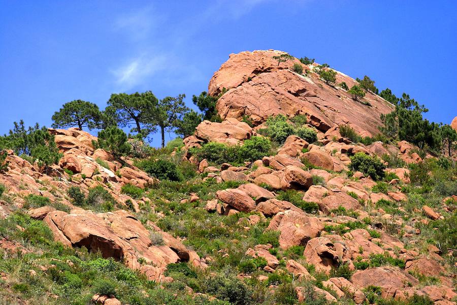 Desert de les Palmes. 