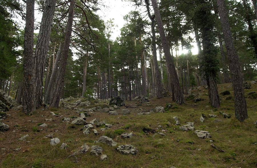 Parque Natural de Penyagolosa. 