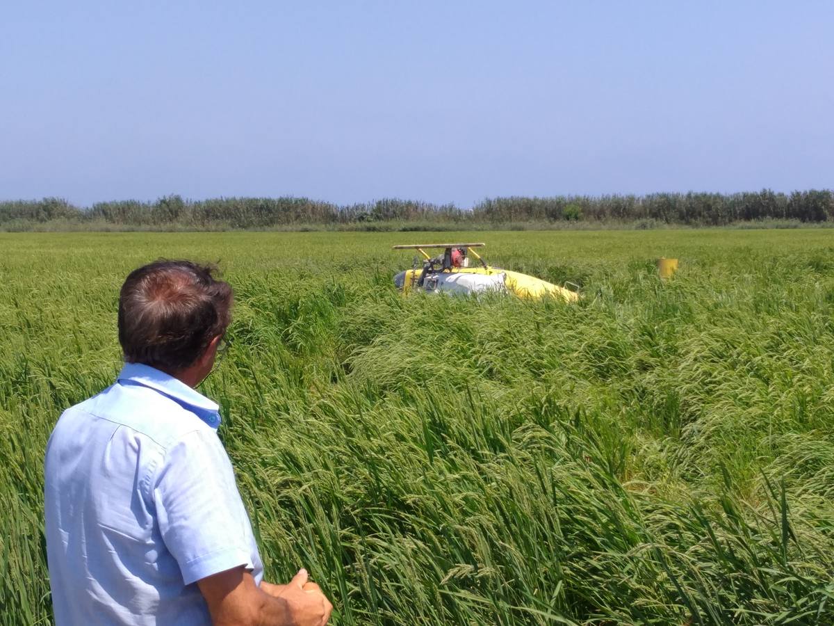 El piloto de un helicóptero resulta ileso tras estrellarse cuando fumigaba en Pego