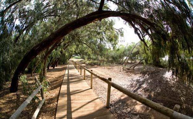 Parque natural de las Lagunas de La Mata y Torrevieja.