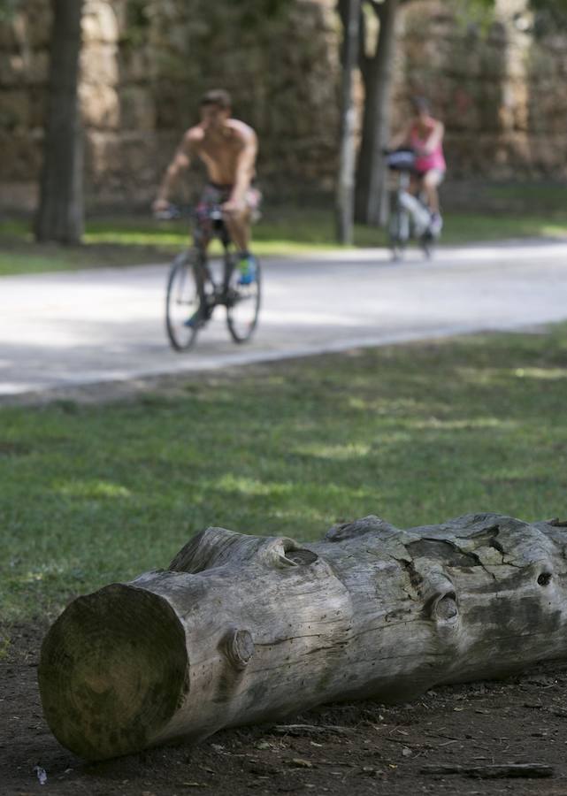 «Hay zonas que da pena ver de cómo están», critican decenas de usuarios del parque. Miles de vecinos visitan el antiguo cauce en agosto y lo encuentran falto de mantenimiento
