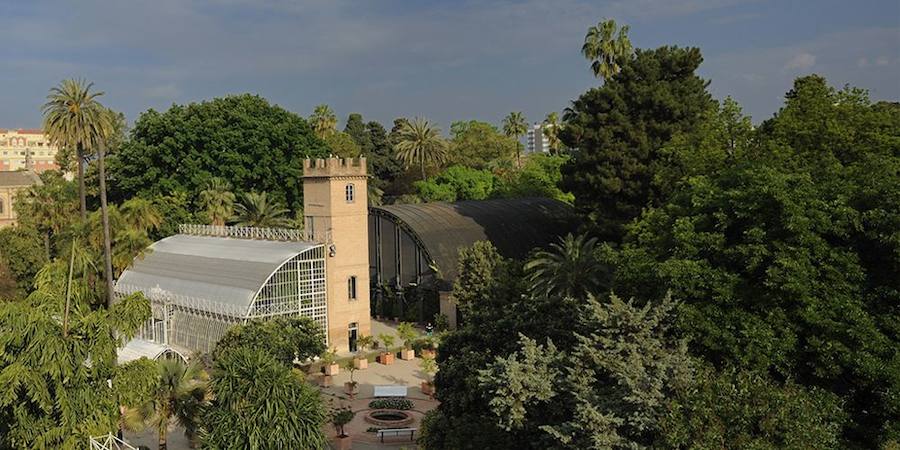 Jardín Botánico de la Universidad de Valencia.