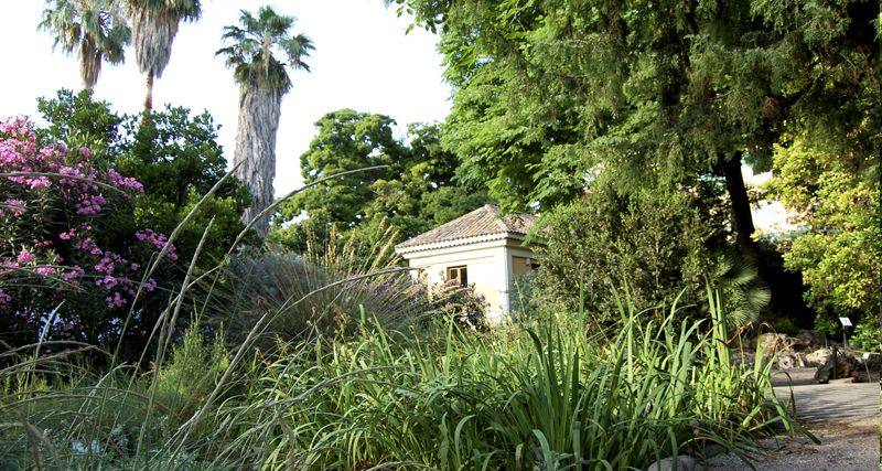 Jardín Botánico de la Universidad de Valencia.