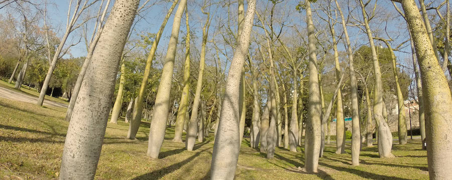 Jardín del Túria.